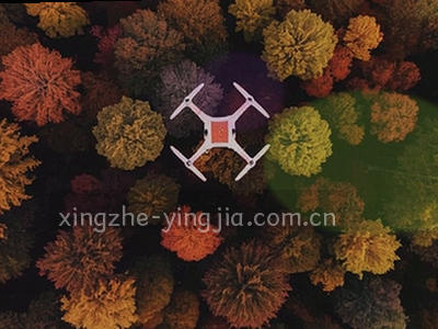 CSV和Excel文件图标并排